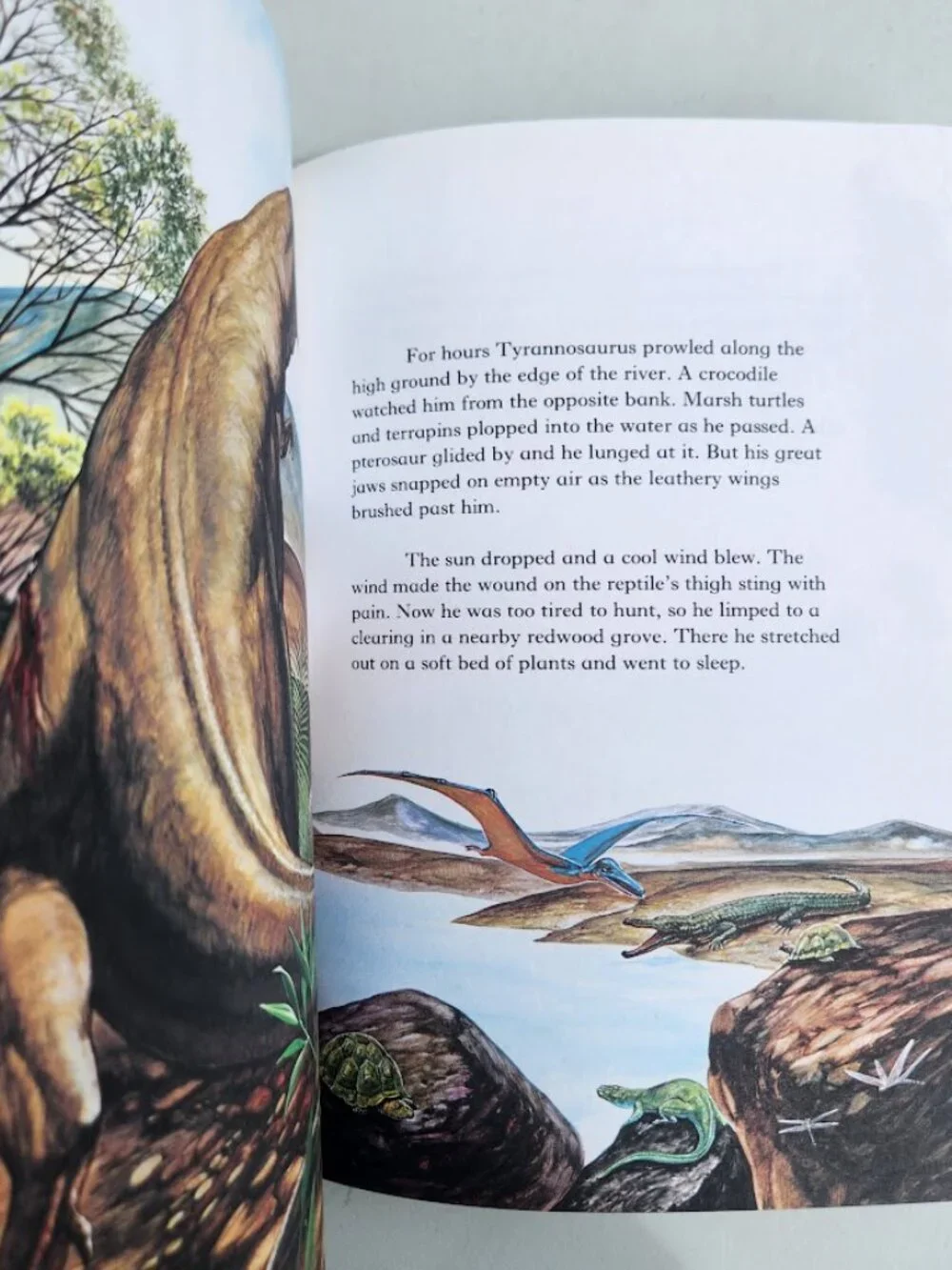 Vintage Dinosaurs And Prehistoric Creatures Education Learning Hardcover Book 97